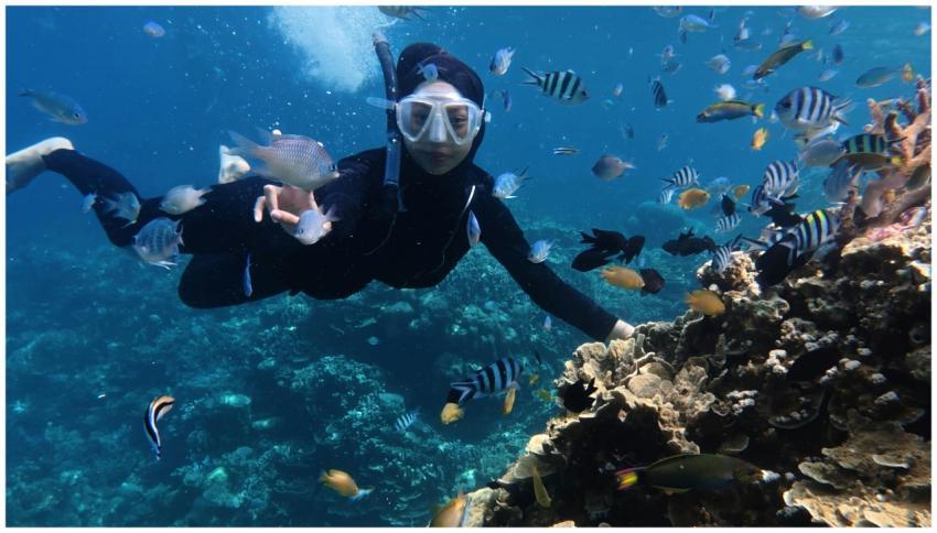 Explore vibrant marine life while snorkeling in Ja