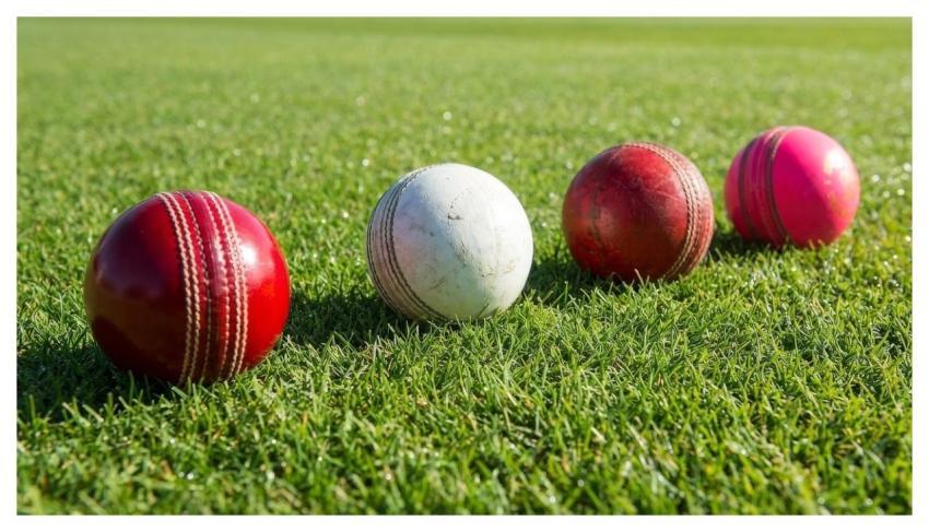 Cricket Cricketer Field Sport