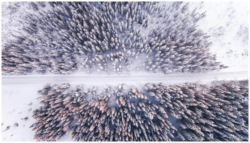 Stunning aerial view of a snowy pine forest and ro