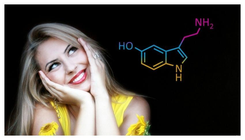 Serotonin Hormone Happiness Wellness