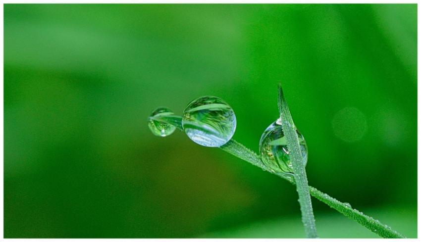 Close-up of water droplets on a grass blade, highl