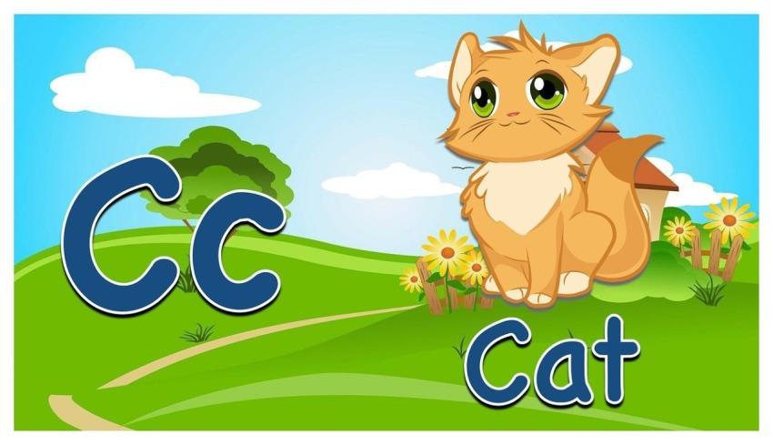 Alphabet Letter C Cat
