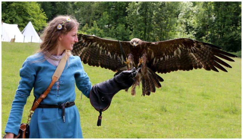 A woman in a blue dress handles a majestic eagle o