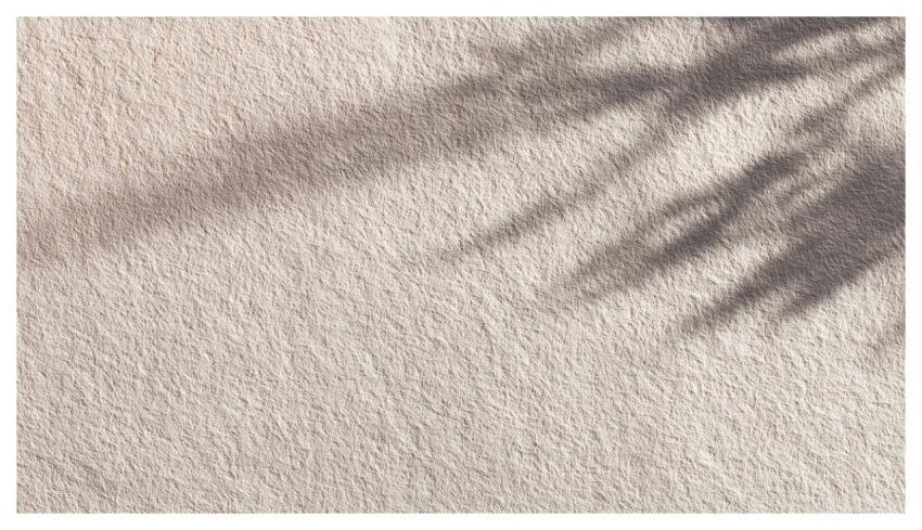 Ai Generated Minimal Background Natural Light Clea