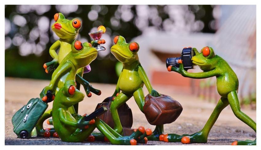 Frogs Group Fun Travel