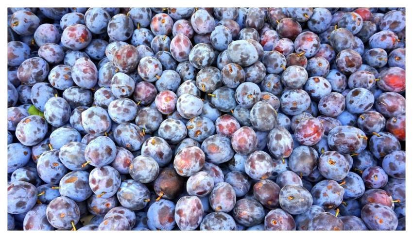 Plums Fruits Food Fresh