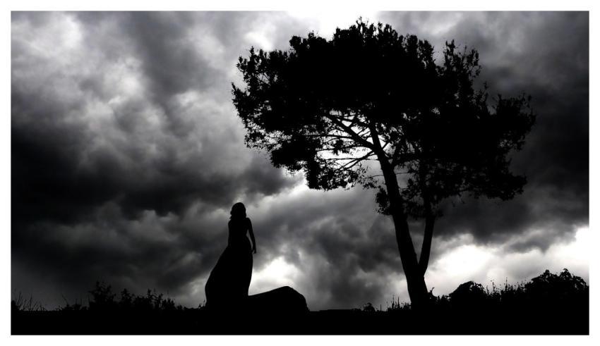 Night Landscape Woman Silhouette