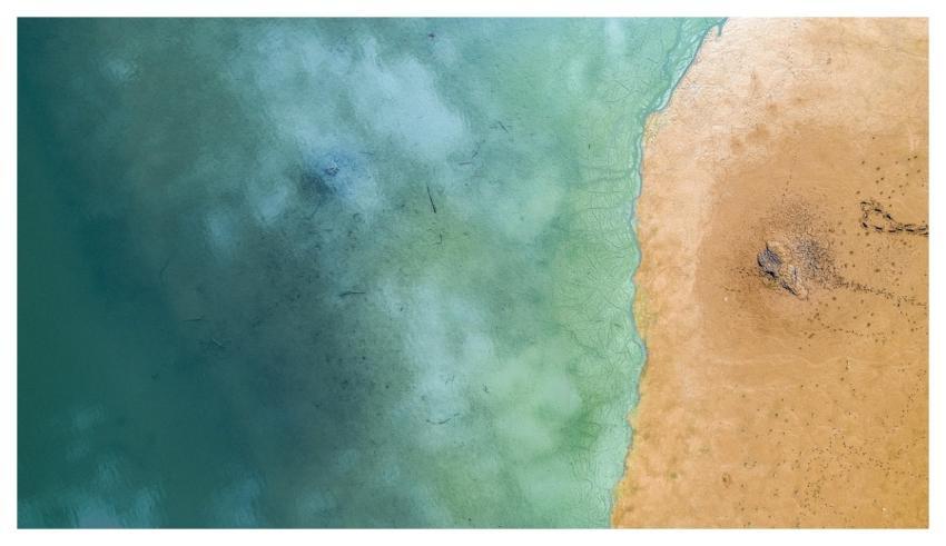 Sea Beach Sand Nature