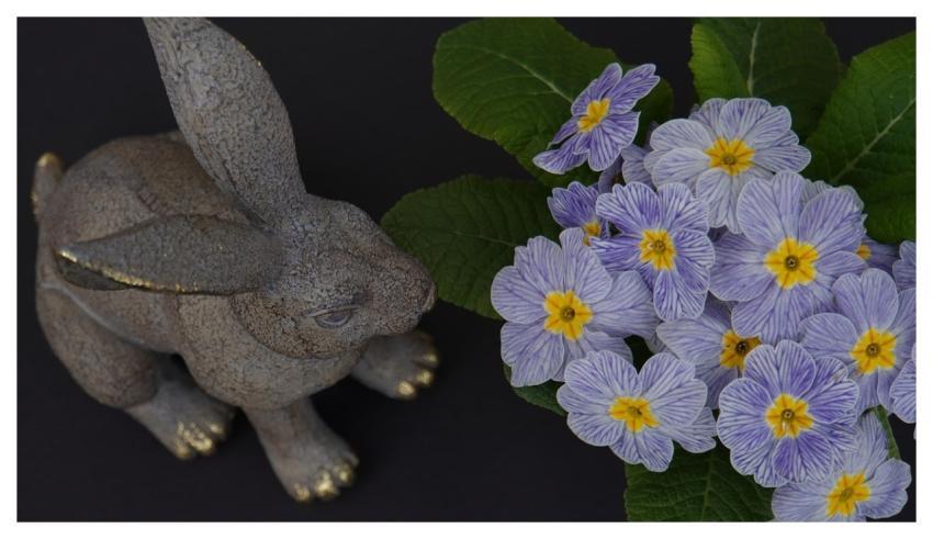 Easter Windows Wallpaper Nature 4K Wallpaper 1920X