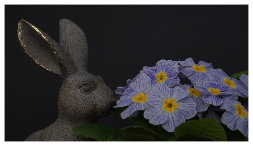 Easter Windows Wallpaper Bunny Laptop Wallpaper