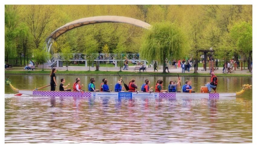 Canoe Boat People Rowing