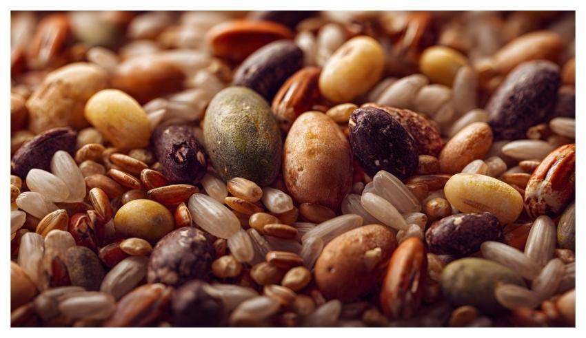 Grains Rice Laptop Wallpaper 4K Wallpaper 1920X108