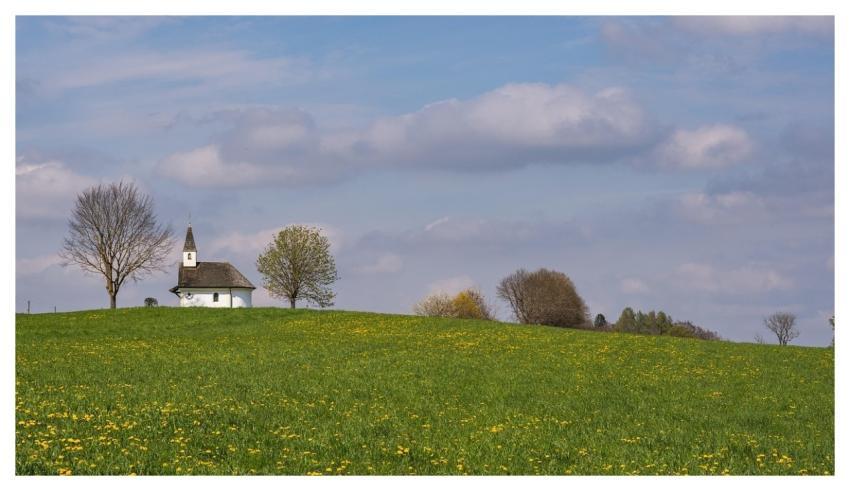 Chapel Church Meadow Flower Meadow