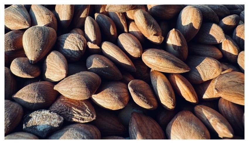 Almond Nut Nutrition Healthy