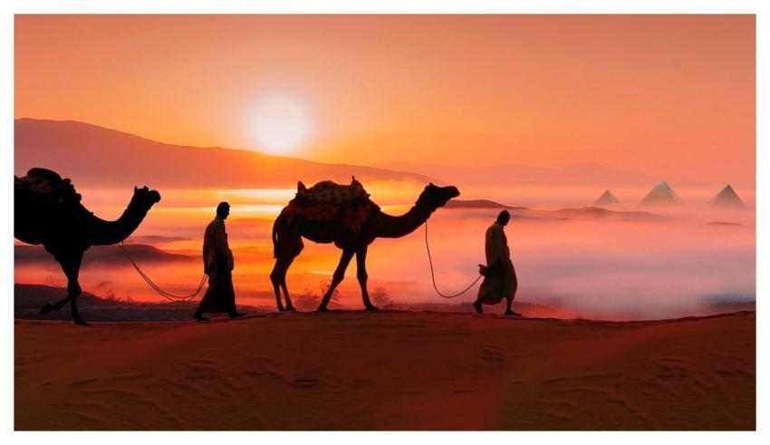 Camels Sunset Mac Wallpaper Desert