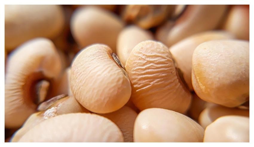 Food Health Healthy Refreshment