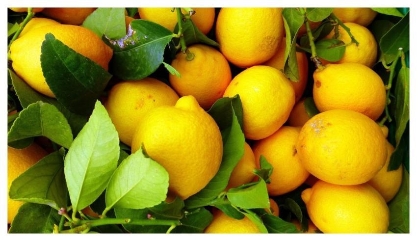 Fruit Leaf Food Juicy