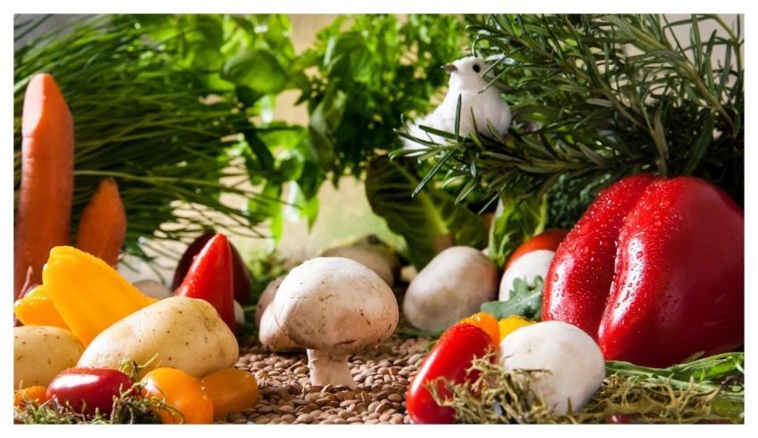 Vegetables Landscape Garden Vegetables Tomatoes