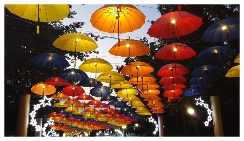 Umbrella Nature Night Sky