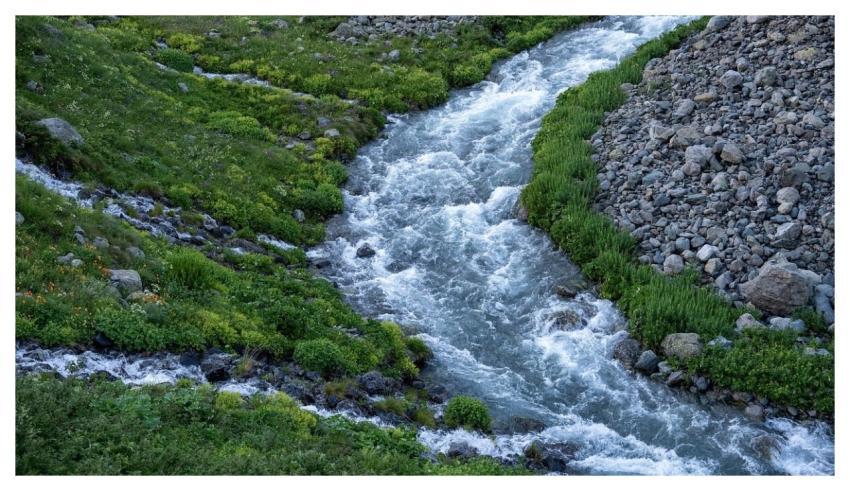 River Stream Flow Nature