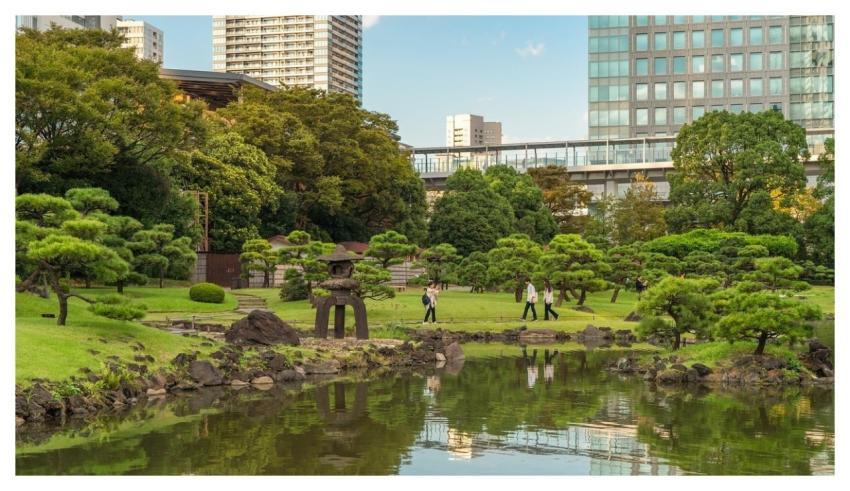 Japanese Garden Tokyo Park Garden