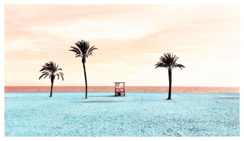 Beach Sea Sand Palm Trees