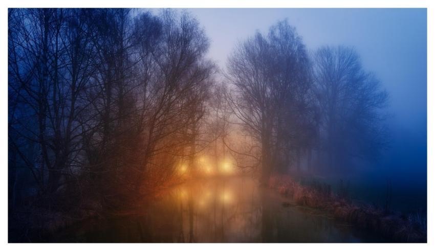 River Forest Mist Creek