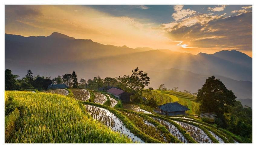 Field Nature Sunlight Tieubaotruong