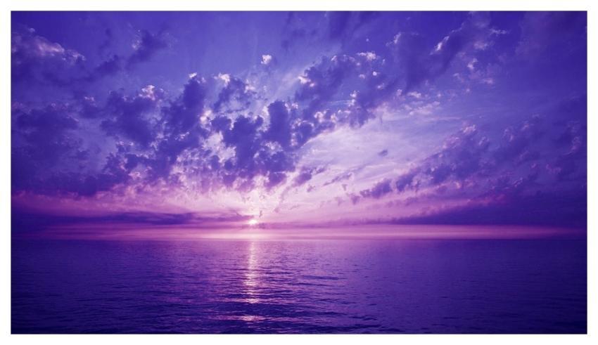 Purple Sunset Nature Darling