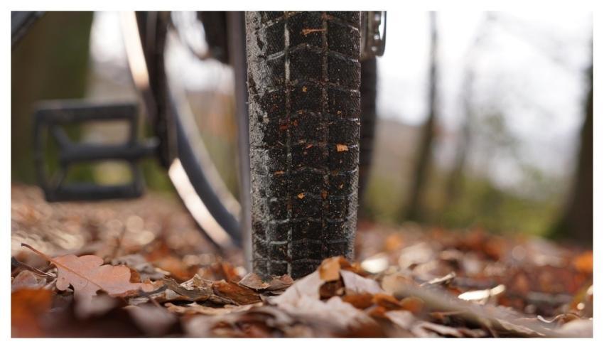 Bicycle Cycling Fall Autumn