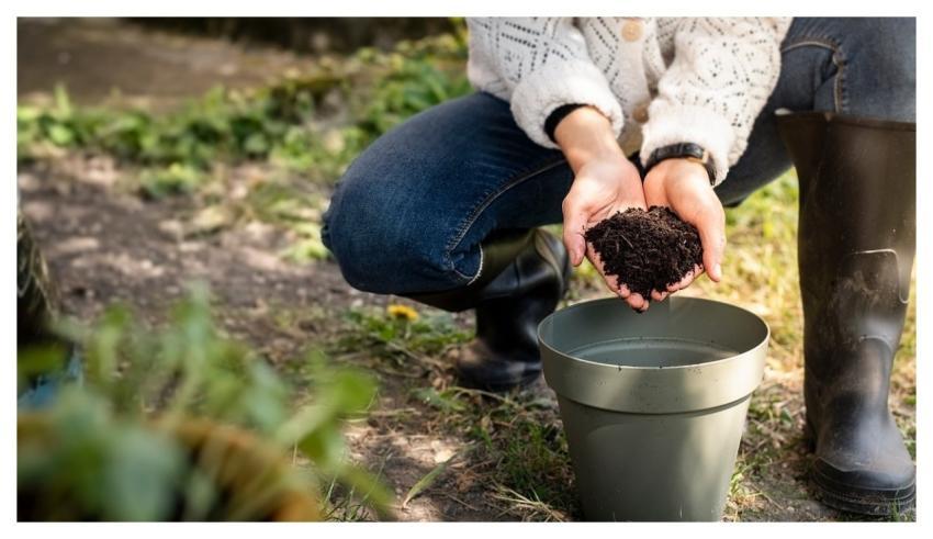 Hands Plant Maintenance Compost Eco-Activity