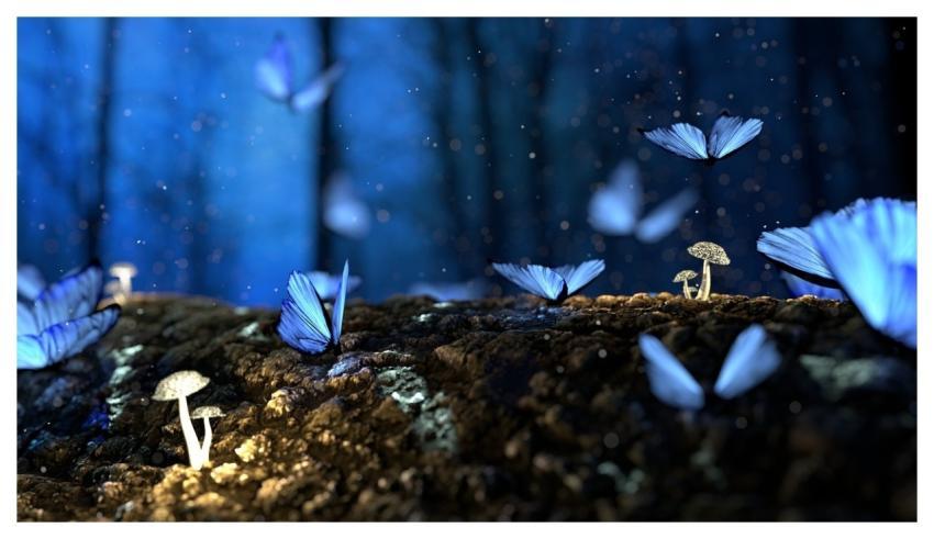 Fantasy Butterflies Mushrooms Forest