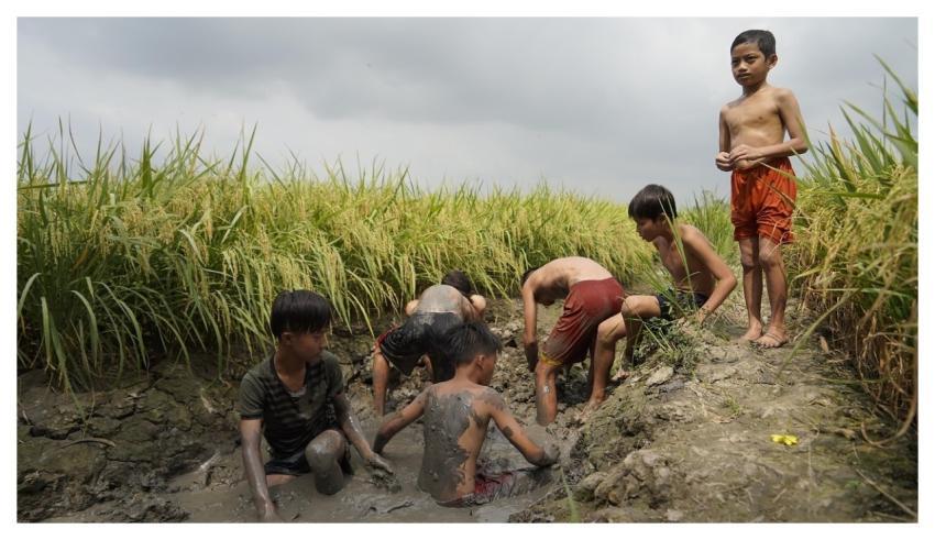 Children Mud Rice Field Farm