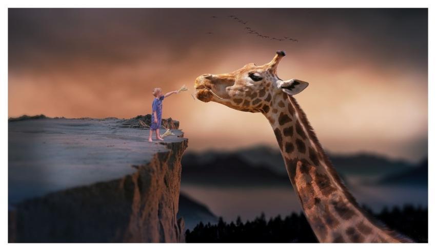 Giraffe Child Nature Dream
