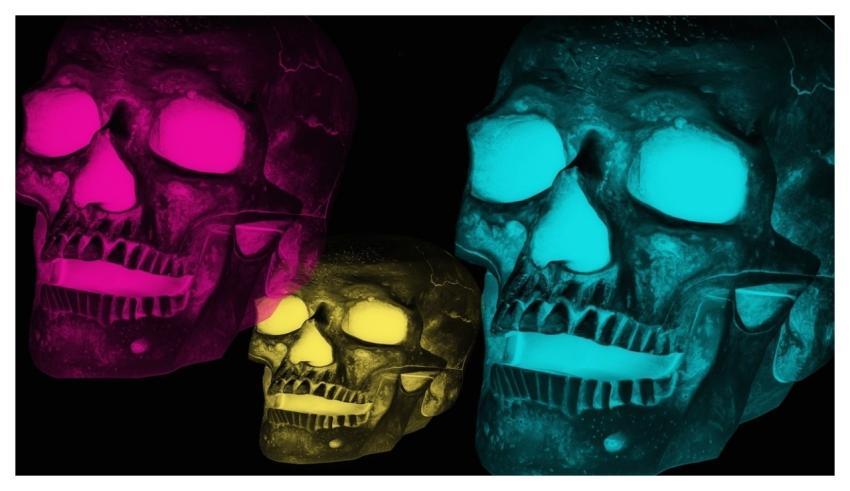 Skulls Heads Art Digital Art