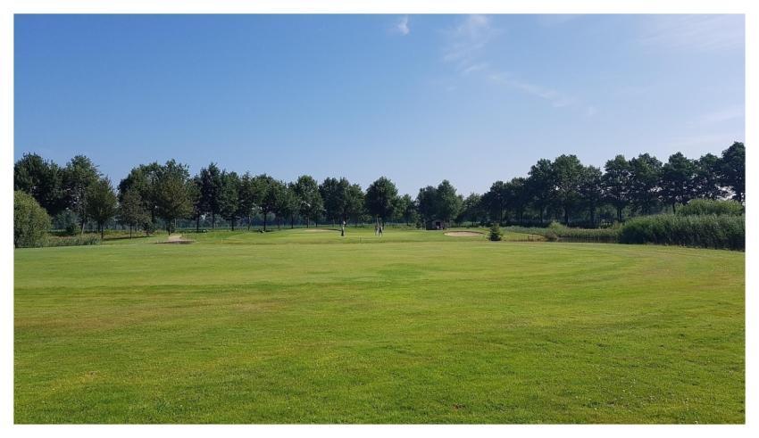 Golf Golf Course Sport Grass