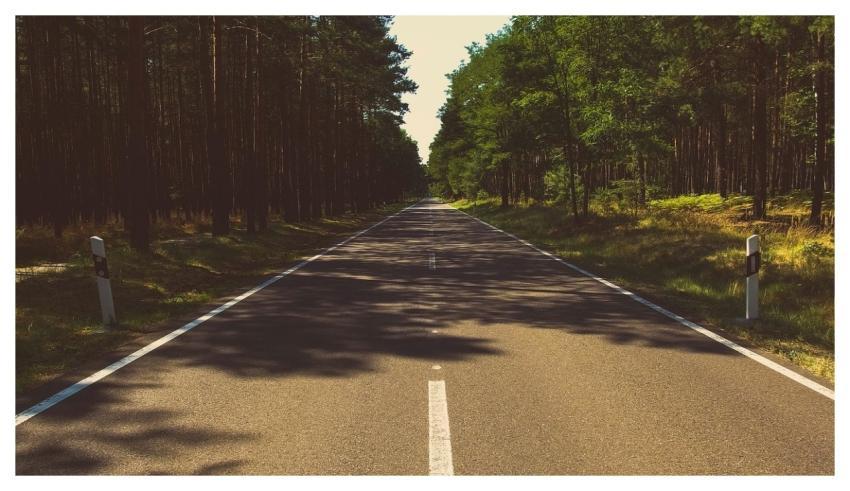 Forest Nature Road Travel