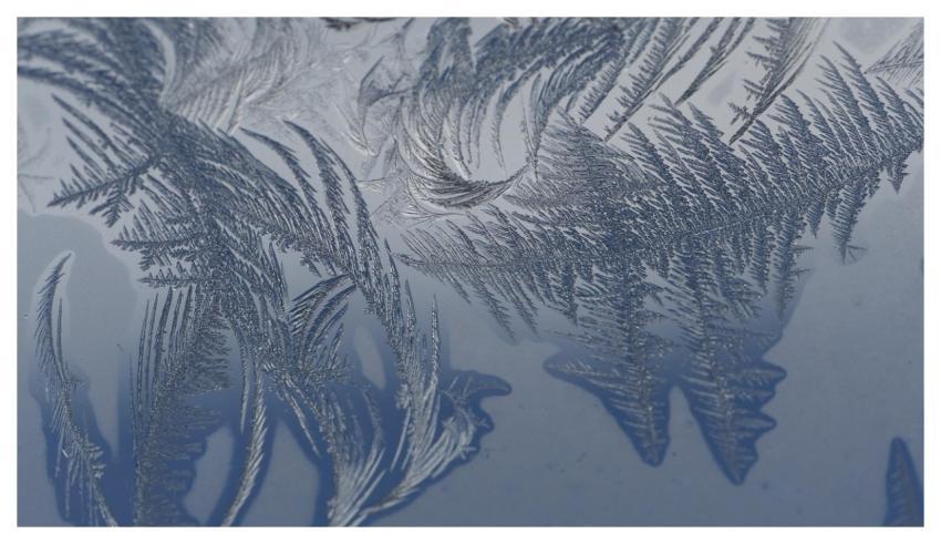 Cold Frost Winter Ice