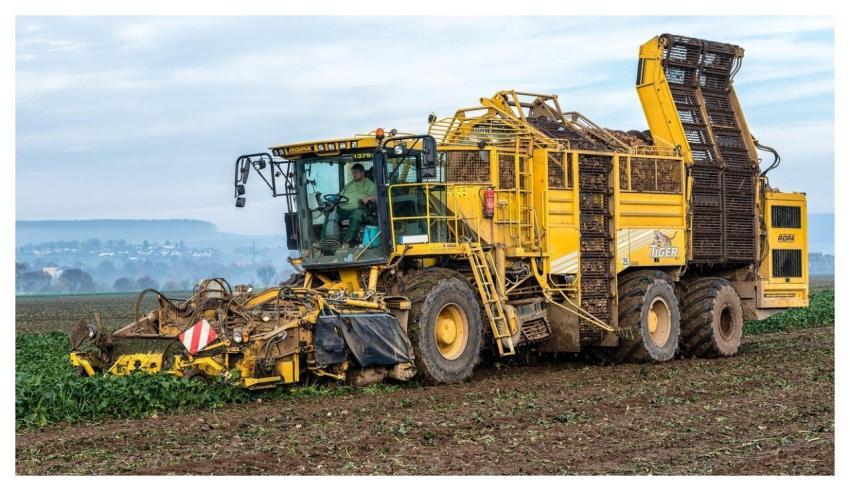 Field Machine Vehicle Turnip