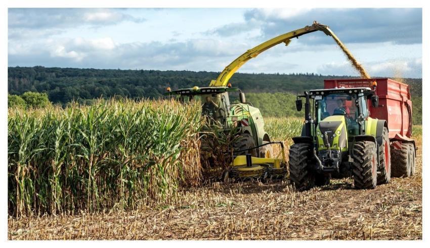 Combine Harvester Harvest Cornfield Corn