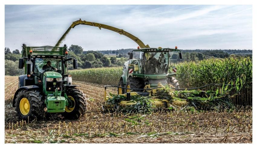 Combine Harvester Harvest Cornfield Corn