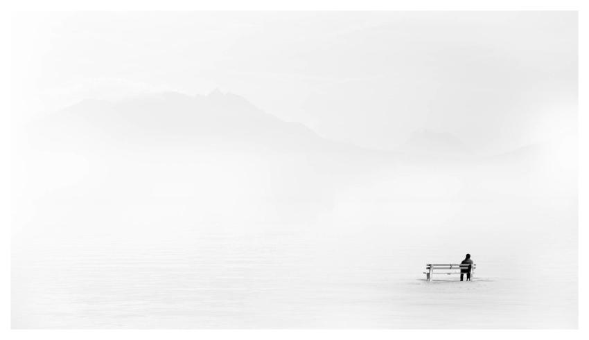 Nature Winter Fog Art