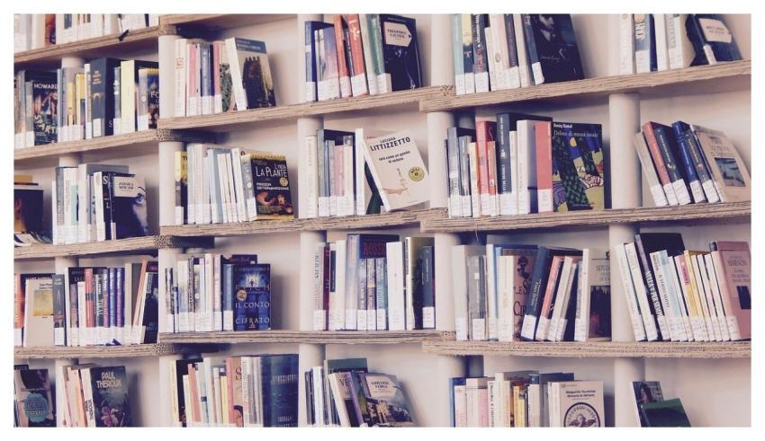Books Library Read Shelves