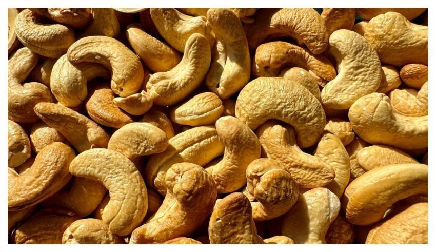 Cashew Nut Food Nutrition