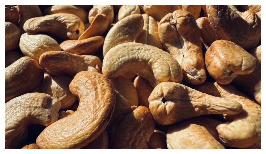 Cashew Nut Food Nutrition