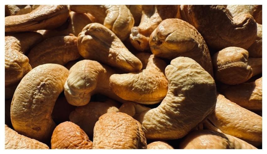 Cashew Nut Food Nutrition