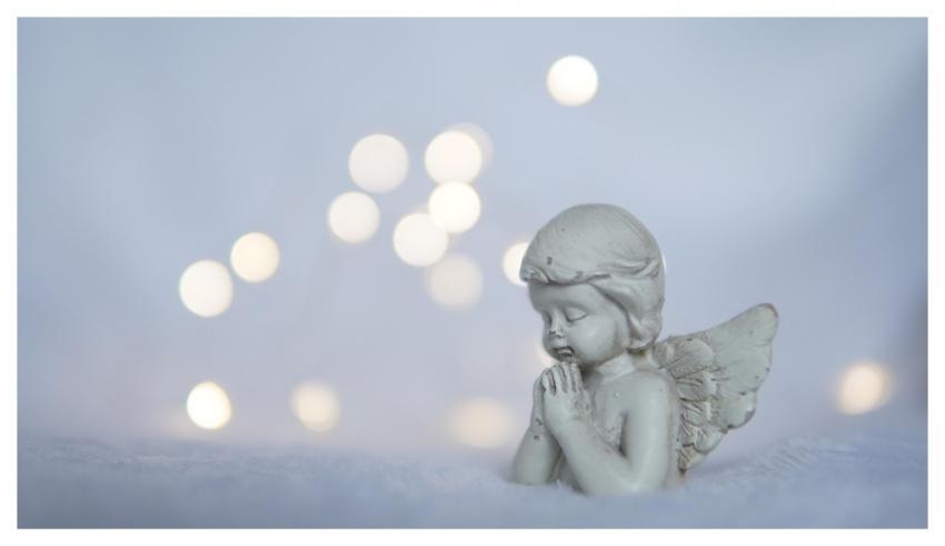 Christmas Cherub Nature Angel