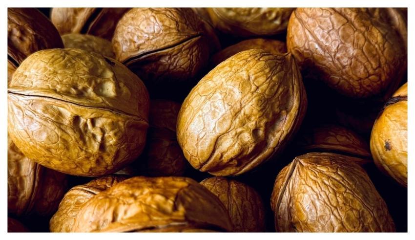 Walnut Nut Nutrition Healthy
