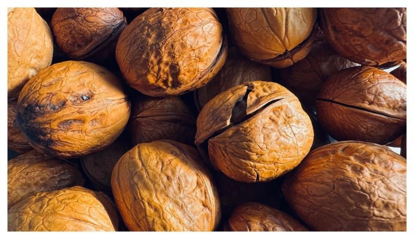 Walnut Nut Food Snack