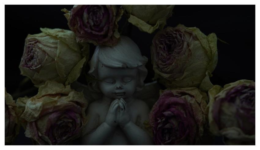 Angel Grief Farewell Love